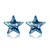 Picture of Star Casual Stud Earrings 3LK053714E