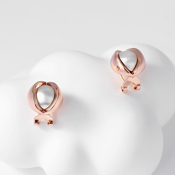 Picture of Sparkling Classic Rose Gold Plated Stud Earrings